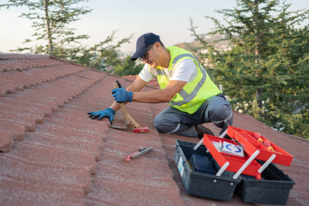 Roof Gutter Cleaning in Shippensburg University, PA